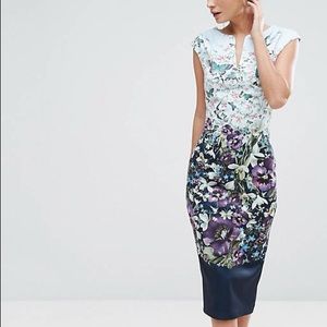 NWT Ted Baker Tiha Midi Bodycon Dress Size 0